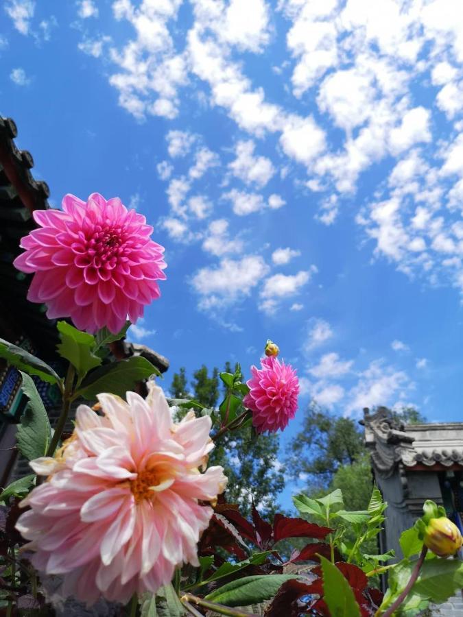 Chengde Kai Ren Hua Fu Jiu Dian  Hotel Bagian luar foto